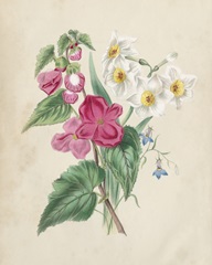 Antique Garden Bouquet IV