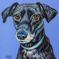 Blue Black Hound