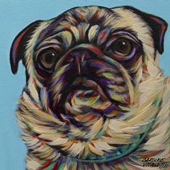 Blue Pug