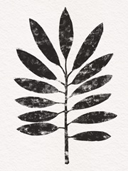 Pressed Tropical Leaf VI