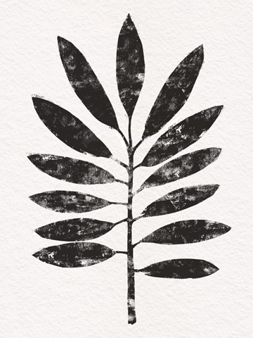 Pressed Tropical Leaf VI