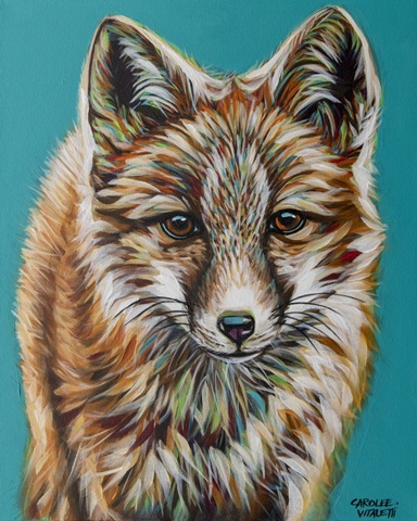 Teal Fox