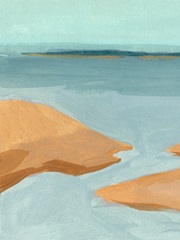 Out on the Sandbar IV