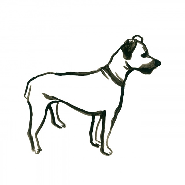 Canine Cameo IX