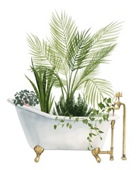 Plant Bath I