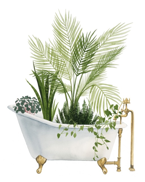 Plant Bath I