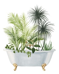Plant Bath II