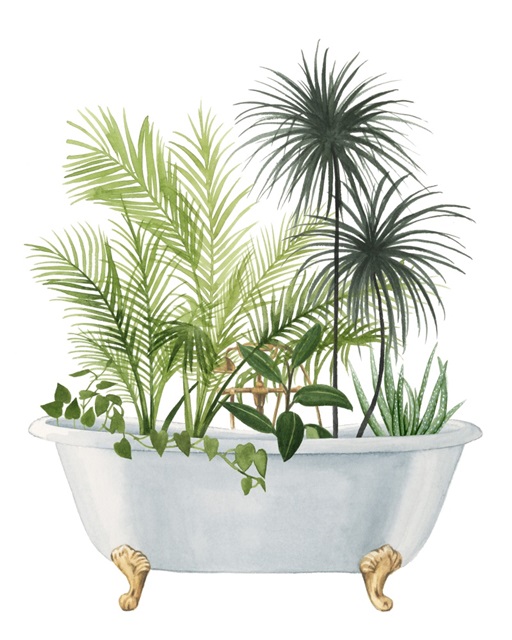 Plant Bath II