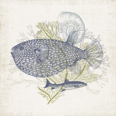 Antique Coastal Ephemera IX