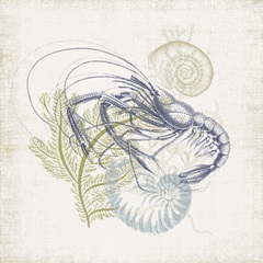 Antique Coastal Ephemera V