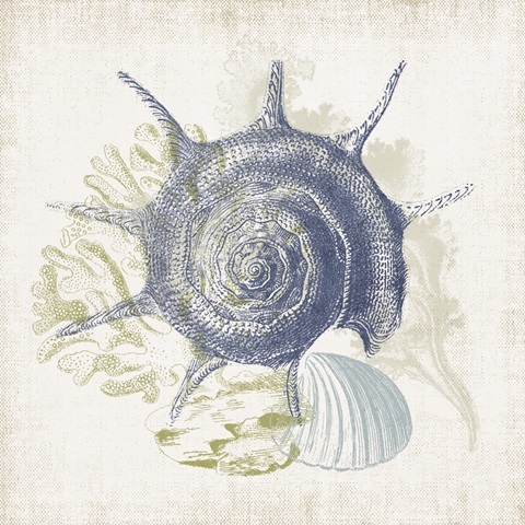 Antique Coastal Ephemera VII