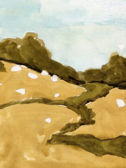 Scattered Sheep II