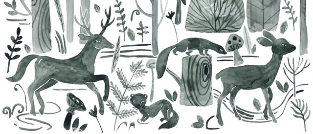Forest Animals Collection D