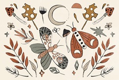 Luna Moths Collection A