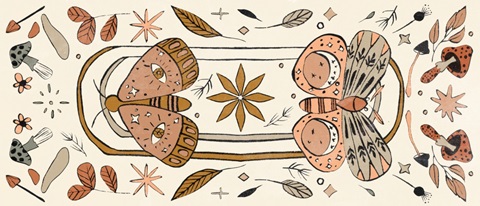 Luna Moths Collection D