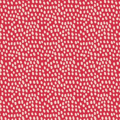 Tropical Traffic Collection H