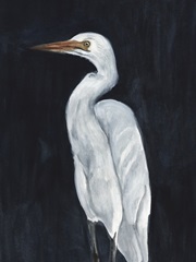 Calm Great Egret I