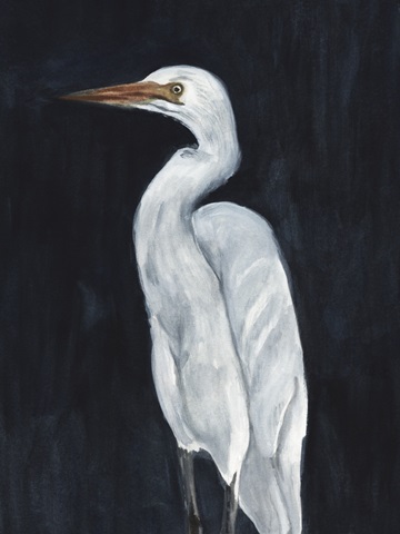 Calm Great Egret I
