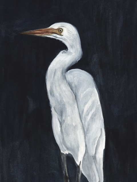 Calm Great Egret I