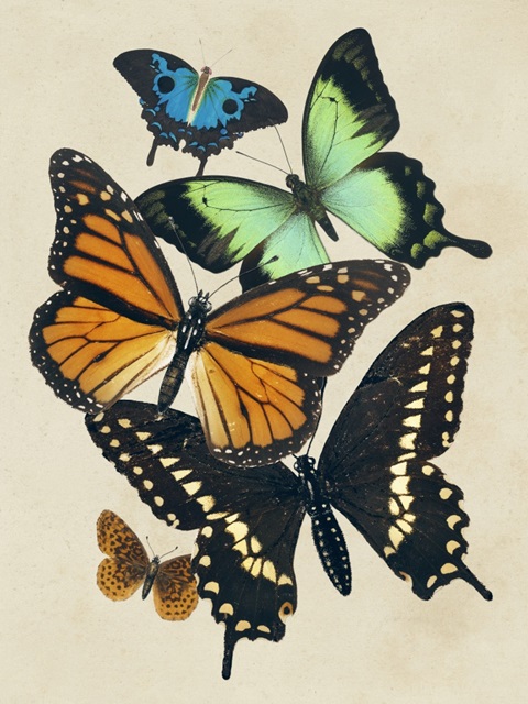 Collaged Butterflies I