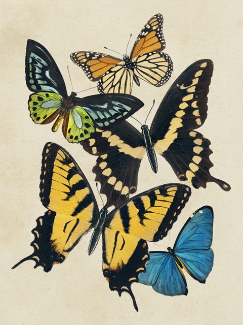 Collaged Butterflies II