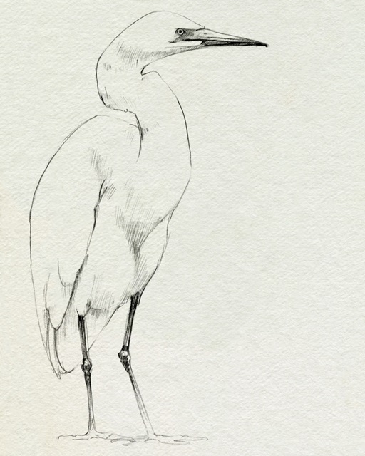 Erect Egret I