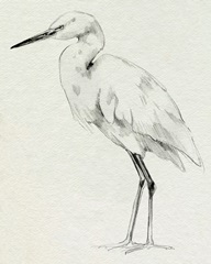 Erect Egret II