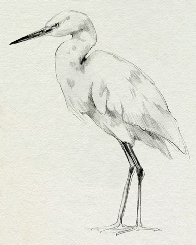 Erect Egret II