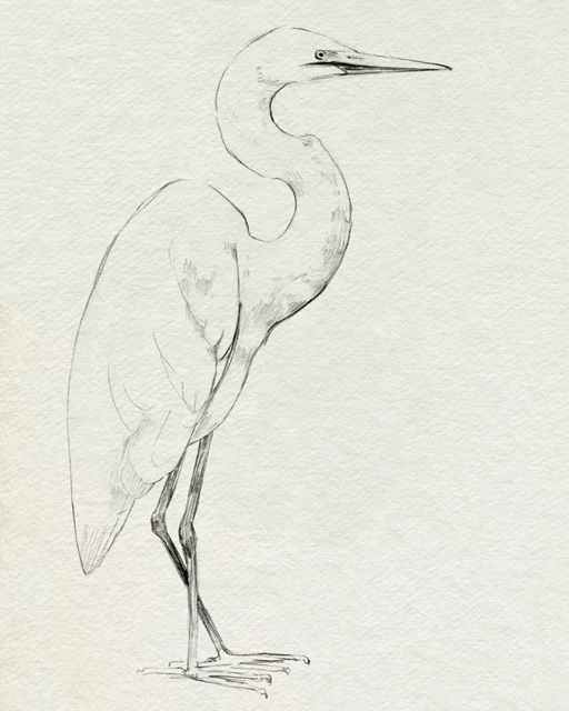 Erect Egret III