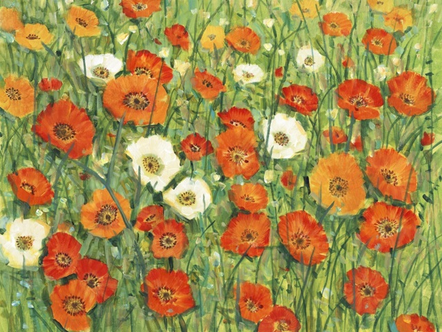 Poppy Meadow I