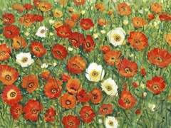 Poppy Meadow II