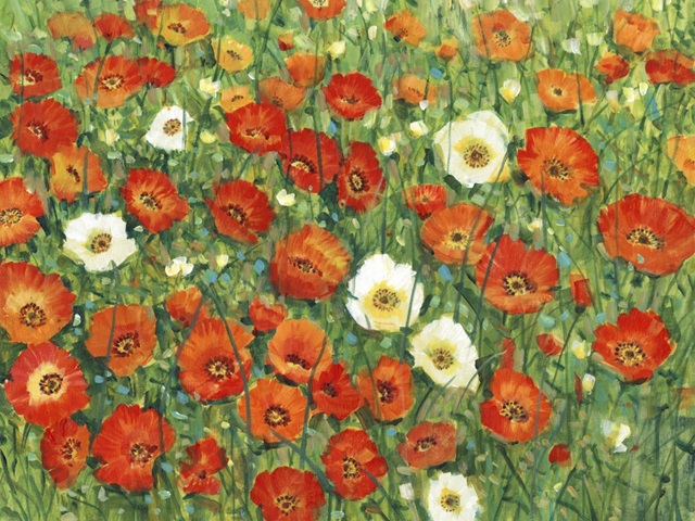 Poppy Meadow II