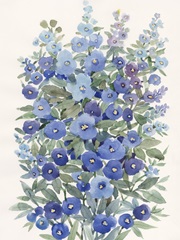 A Patch of Wildflowers II