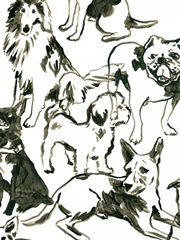 Canine Collage I