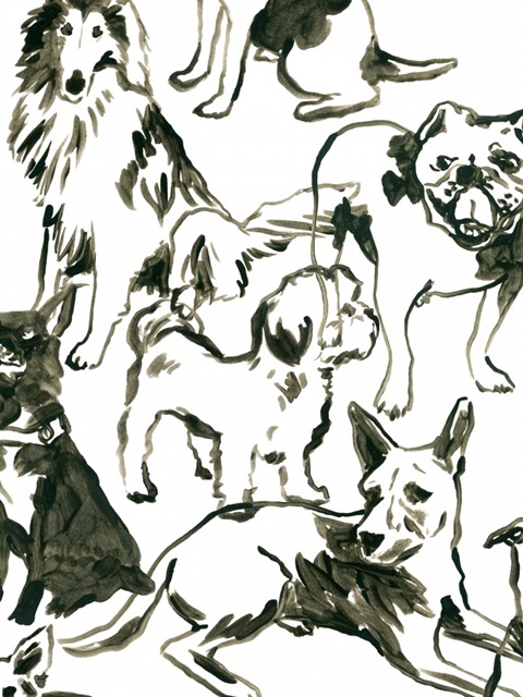 Canine Collage I