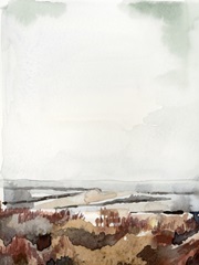 Coastal Inlet Study I