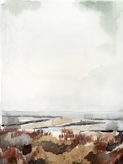 Coastal Inlet Study I