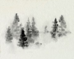 Inked Pine Forest III