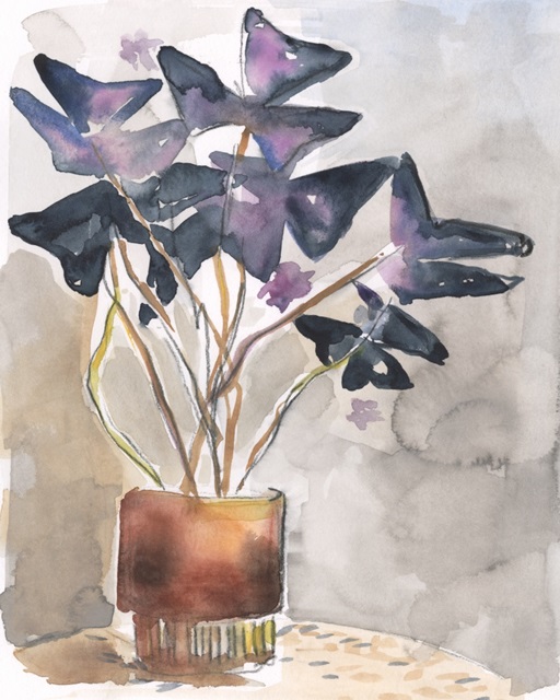 Oxalis in Vase I