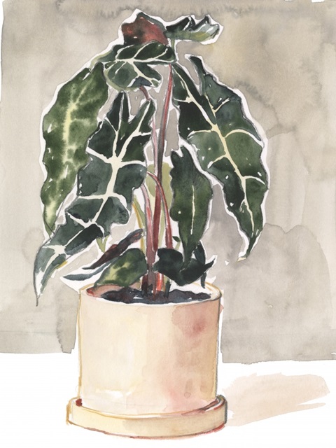 Potted Houseplant I