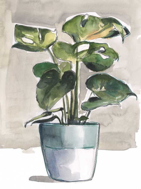 Potted Houseplant II