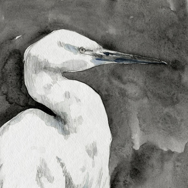 Solemn Egret I