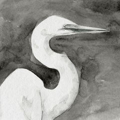 Solemn Egret III