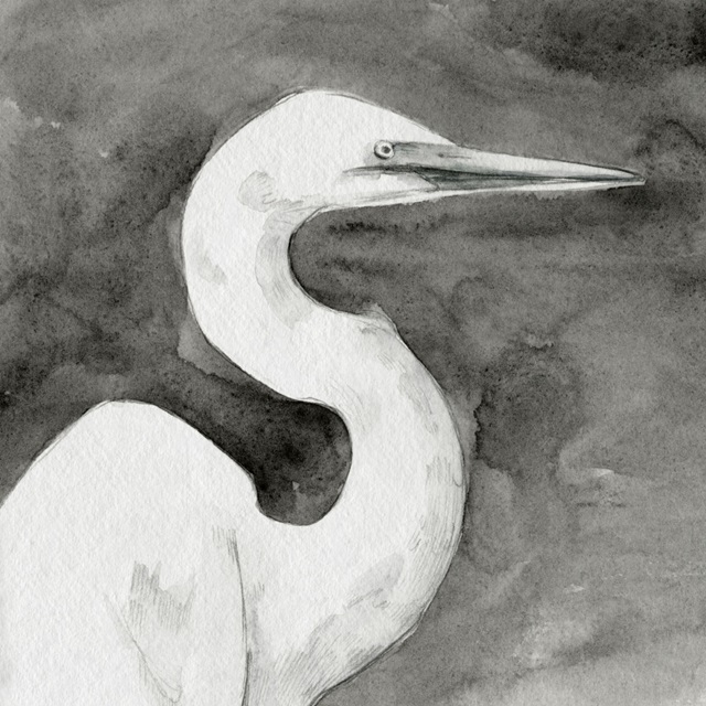 Solemn Egret III