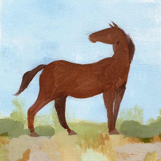 Wild Pony I