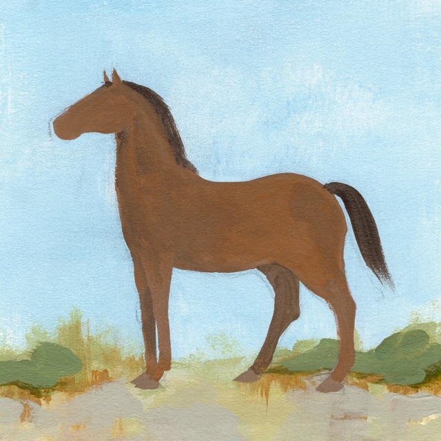 Wild Pony IV