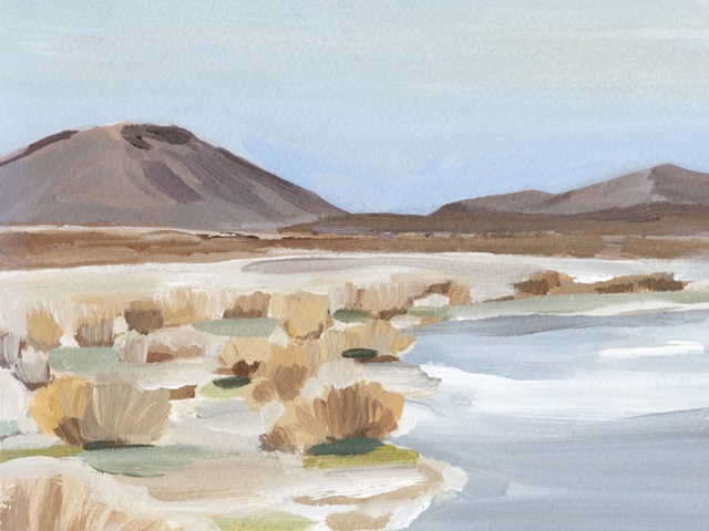 Desert Oasis Study II