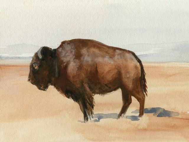 Grazing Bison I