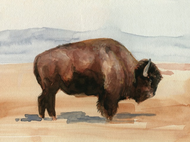 Grazing Bison II