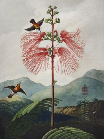 Temple of Flora VIII